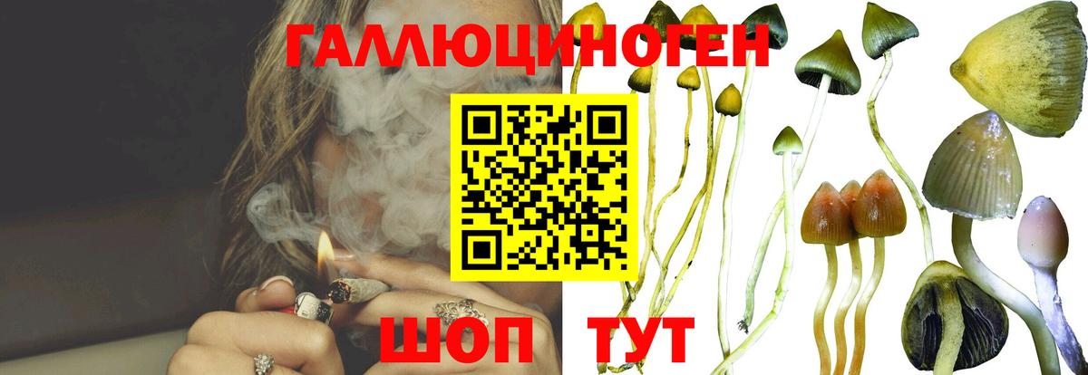 где продают наркотики  Псилоцибиновые грибы прущие грибы  Вход с VPN  Грязи 